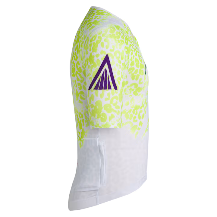 Amani Men's Pro Team Aero Jersey