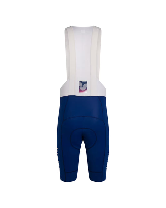 Men's Pro Team Bib Shorts III - Storm
