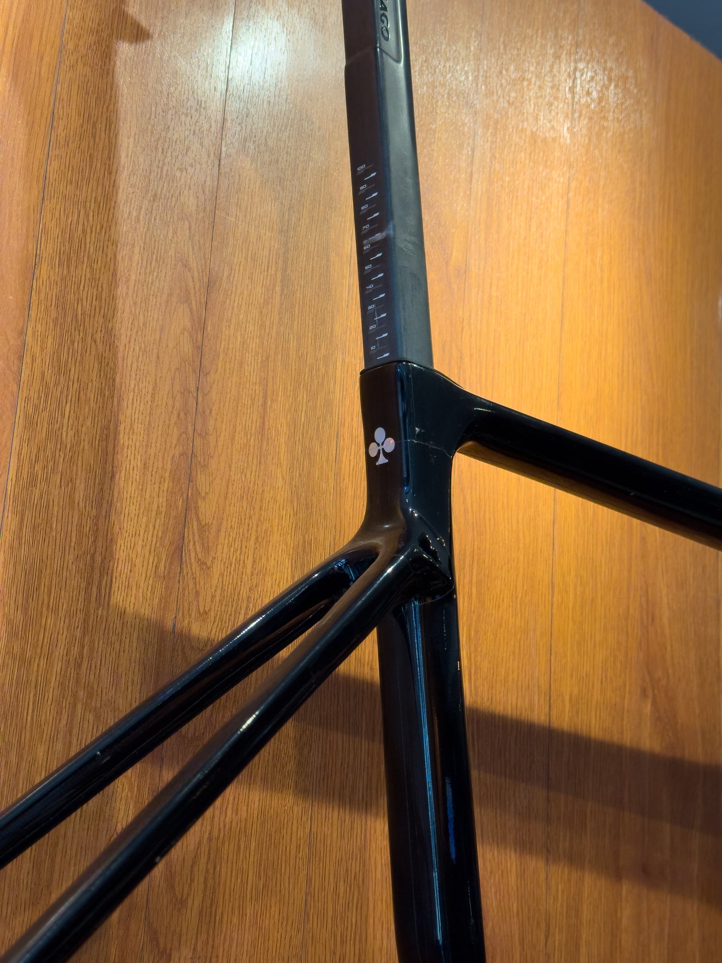 Colnago V4Rs - RVBO 51 Disc