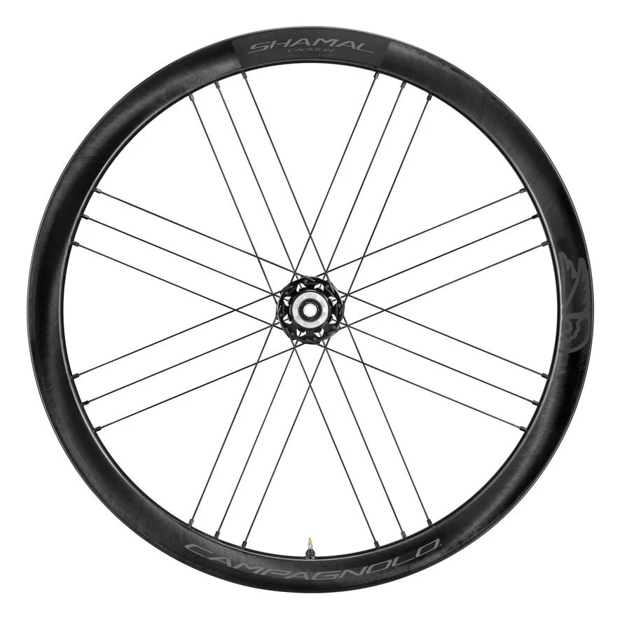 Campagnolo Shamal Carbon Disc Brake