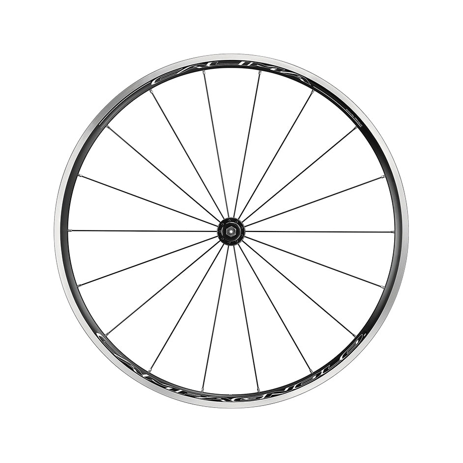 Campagnolo Calima C17 Rim