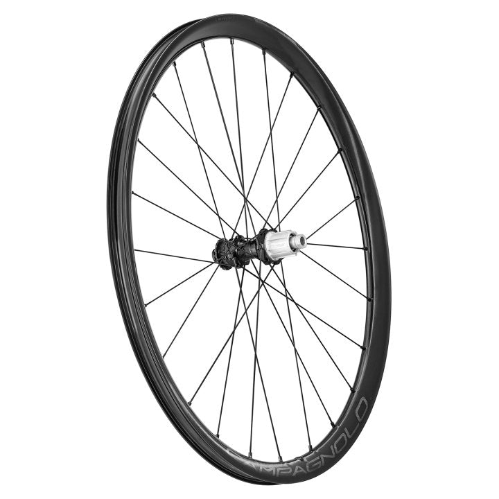 Campagnolo Levante 700C DB