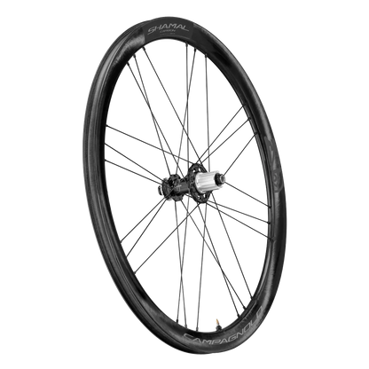 Campagnolo Shamal Carbon C21 DB