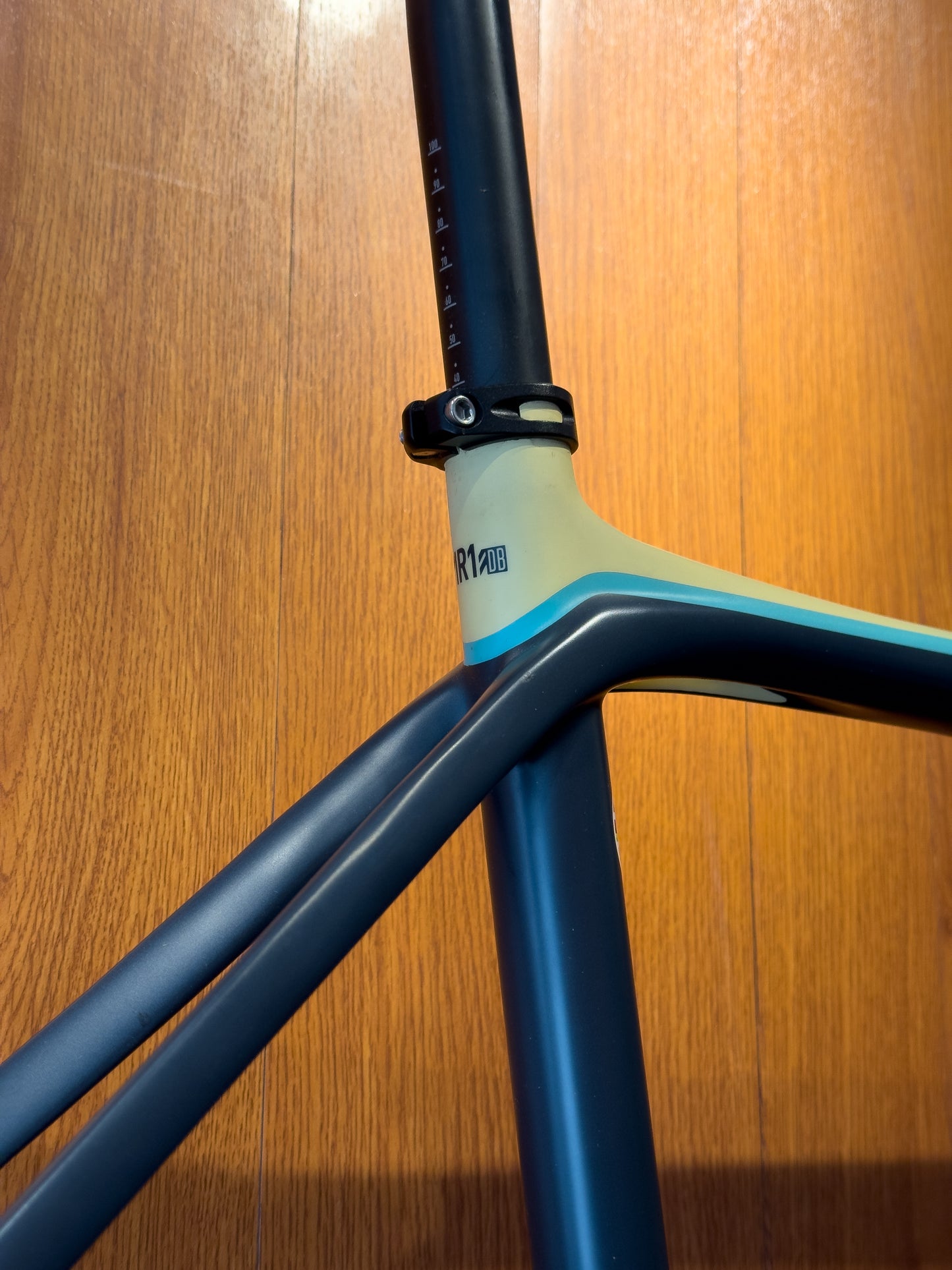 Dare MR1 DB - 51 Disc Limited Edition