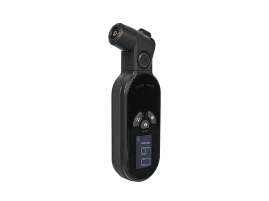 SMARTGAUGE D2X