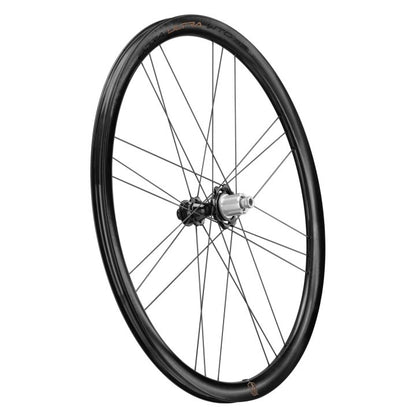 Campagnolo Bora Ultra WTO 33 DB N3W