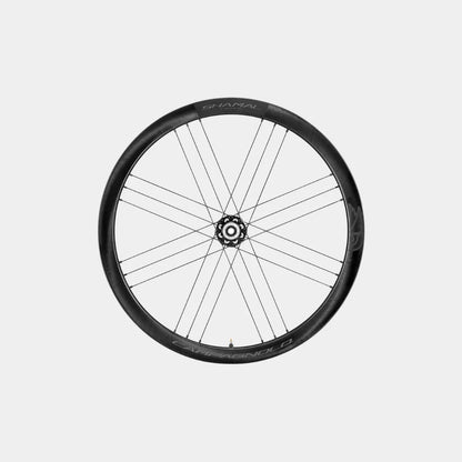 Campagnolo Zonda DB CL