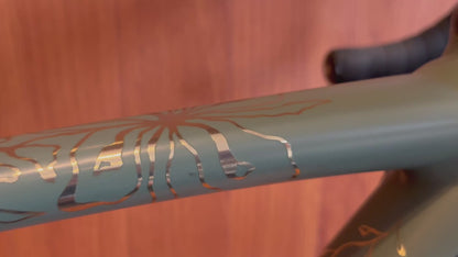 SPECIALIZED (ALLEZ SPRINT) "Meet Your Match" 49