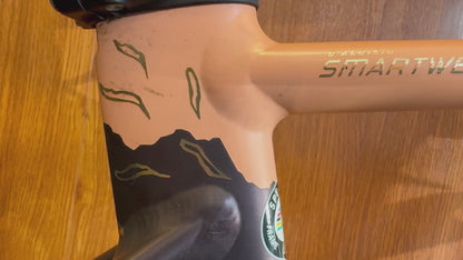 SPECIALIZED (ALLEZ SPRINT) "Meet Your Match" 49