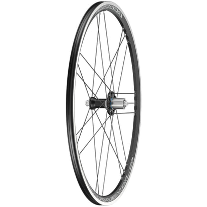 Campagnolo Zonda C17 Rim
